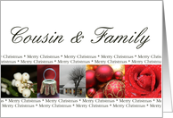 Cousin & Family Merry Christmas red, black & white Winter collage christmas card