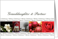 Granddaughter & Partner Merry Christmas red, black & white Winter collage christmas card