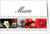 Mum Merry Christmas red, black & white Winter collage christmas card