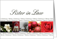 Sister in Law Merry Christmas red, black & white Winter collage christmas card
