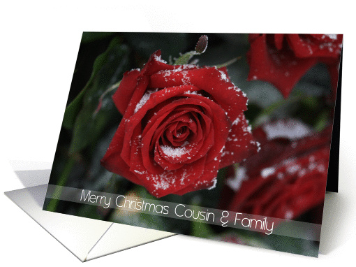 Red rose in snow Merry Christmas Cousin & Family card (878895)