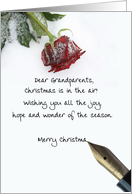 christmas letter on snow rose paper to Grandparents card