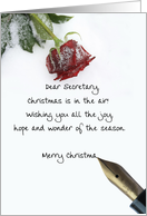 christmas letter on snow rose paper to Secretary card