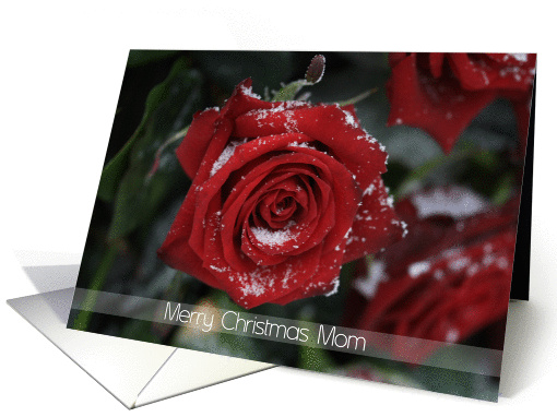 Merry Christmas Mom, Red rose in snow card (881836)