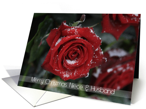Merry Christmas Niece & Husband, Red rose in snow card (882520)