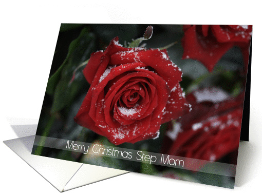 Merry Christmas Step Mom, Red rose in snow card (882582)