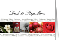Dad & Step Mom Merry Christmas red, black & white Winter collage christmas card