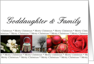 Goddaughter & Family Merry Christmas collage card
