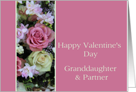 Granddaughter & Partner Happy Valentine’s Day card