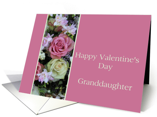 Granddaughter Happy Valentine's Day pink and white roses card (892649)