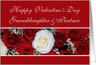 Granddaughter & Partner Happy Valentine’s Day red and white roses card