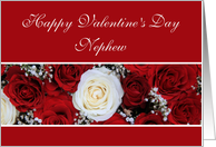 Nephew Happy Valentine’s Day red and white roses card