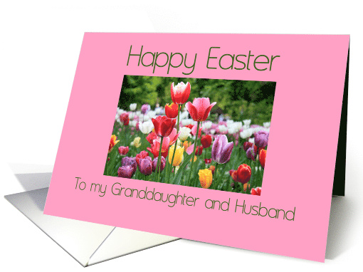 Granddaughter and Husband Happy Easter Multicolored Tulips card