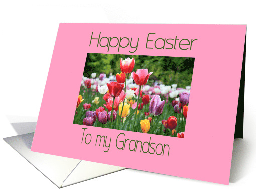 Grandson Happy Easter Multicolored Tulips card (902041)