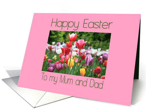 Mum & Dad Happy Easter Multicolored Tulips card (902098)