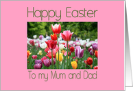 Mum & Dad Happy Easter Multicolored Tulips card
