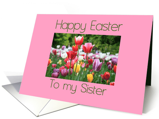 Sister Happy Easter Multicolored Tulips card (902143)