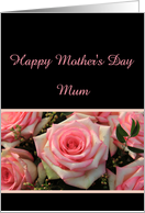 Pink rose mother’s day card for Mum card