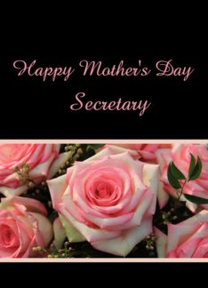 Pink rose mother's day card for Secretary