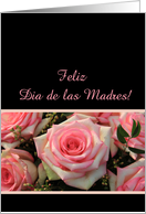 Spanish Mother’s Day Big Pink Rose card