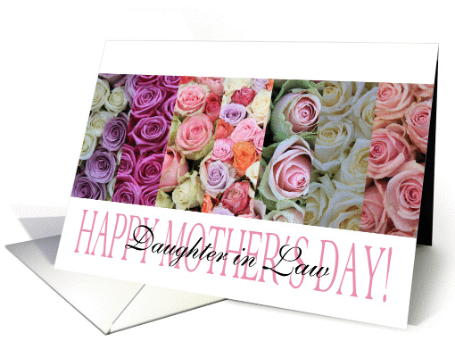 Happy Mother's Day, mixed pastel roses for Daughter in Law card