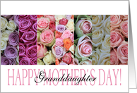 Happy Mother’s Day, mixed pastel roses for Granddaughter card