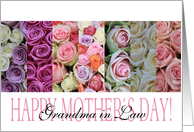 Happy Mother’s Day, mixed pastel roses for Grandma in Law card