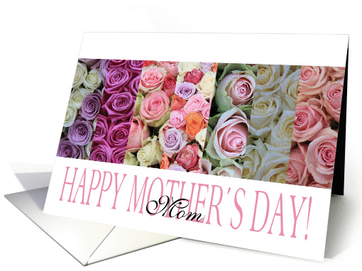 Happy Mother's Day, mixed pastel roses for Mom card (919209)