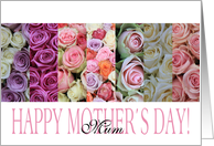 Happy Mother’s Day, mixed pastel roses for Mum card