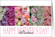 Happy Mother’s Day, mixed pastel roses for Partner card