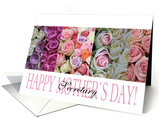 Happy Mother's Day, mixed pastel roses for Secretary card (919234)