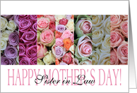 Happy Mother’s Day, mixed pastel roses for Sister in Law card