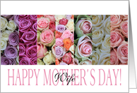 Happy Mother’s Day, mixed pastel roses for Wife card
