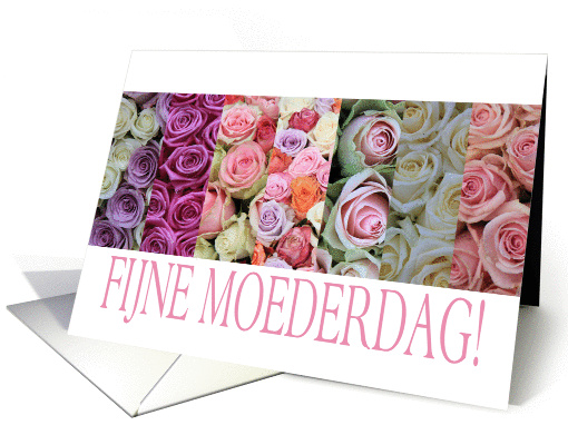 Happy Mother's Day in Dutch, mixed pastel roses Fijne Moederdag card