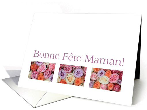 Happy Mother's Day in French, mixed pastel roses Bonne... (919266)