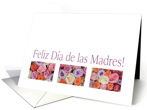 Happy Mother's Day in Spanish, mixed pastel roses dia de... (919276)