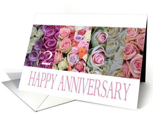 2nd Wedding Anniversary Card pastel roses card (921073)