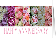 5th Wedding Anniversary Card pastel roses card