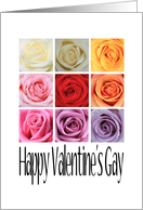 Happy Valentine’s Gay, Rainbow Roses card
