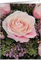 Two Tone Pink Rose Blank Any Occasion card