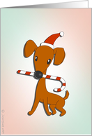 It’s All About the Dog card