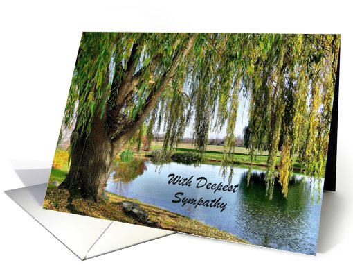 Weeping Willow Sympathy card (888992)