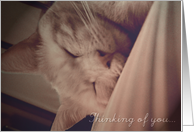 Thinking of you... card