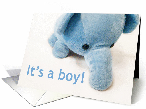 Announcement Baby Boy card (533554)