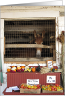 Amish Farmstand Mule card