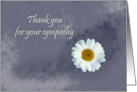 Daisy flower - Thank you for your sympathy card