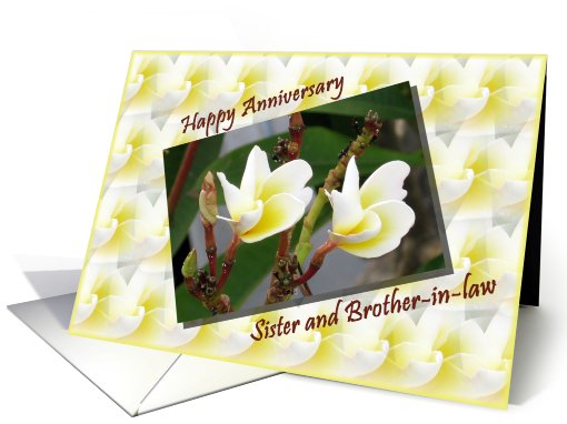 Wedding Anniversary - Sister and brother in law card (614858)