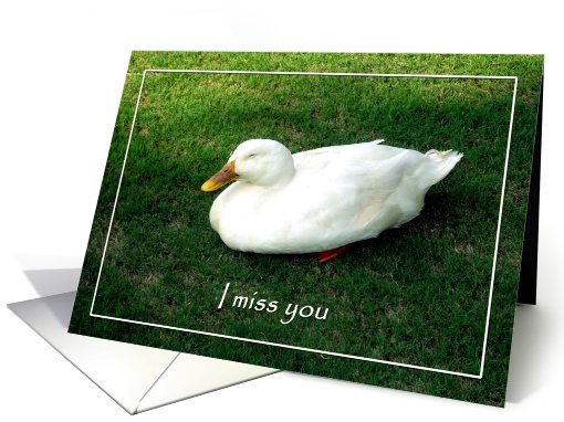 Miss you husband - Lonely duck card (629680)