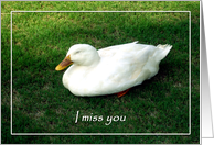 Miss you husband - Lonely duck card
