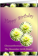 Birthday-Month Specific Flower - November-Chrysanthemum card